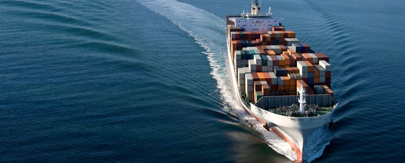 exportation to China