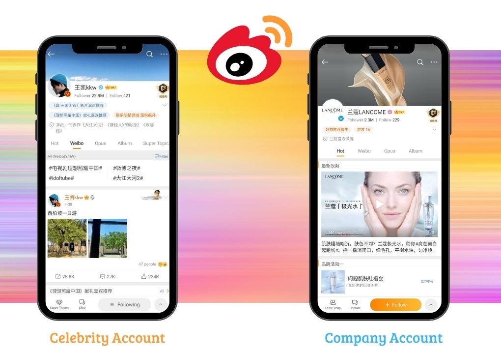 Chinese Social Media - SINA WEIBO TYPE OF ACCOUNTS