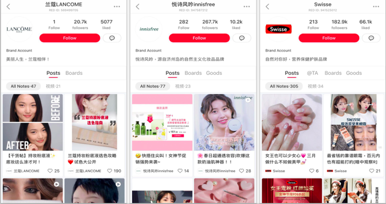 Chinese Social Media - Xiaohongshu cosmetics kols